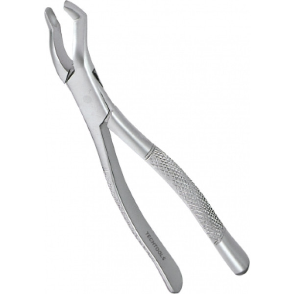 Extracting Forceps Adults 